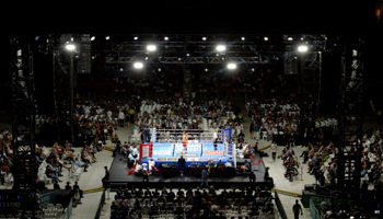 Tevin Farmer - Guillaume Frenois: título en juego en una pelea más equilibrada de lo que dictan las cuotas