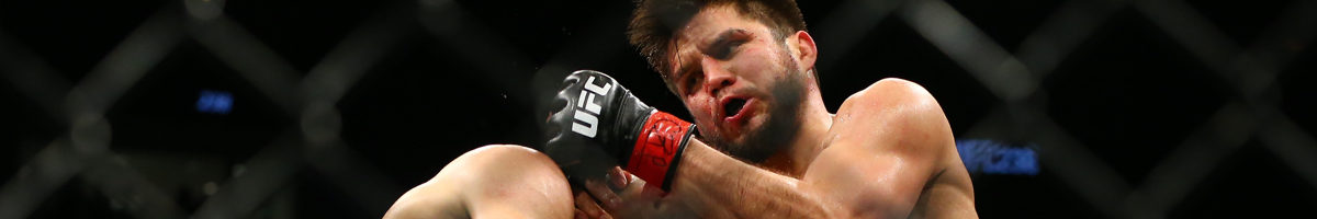 dominick cruz - henry cejudo