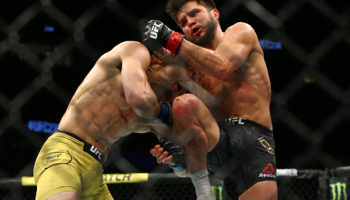 dominick cruz - henry cejudo