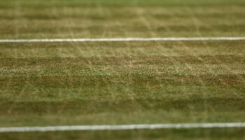 Pronóstico Carlos Alcaraz - Daniil Medvédev | Wimbledon | Tenis